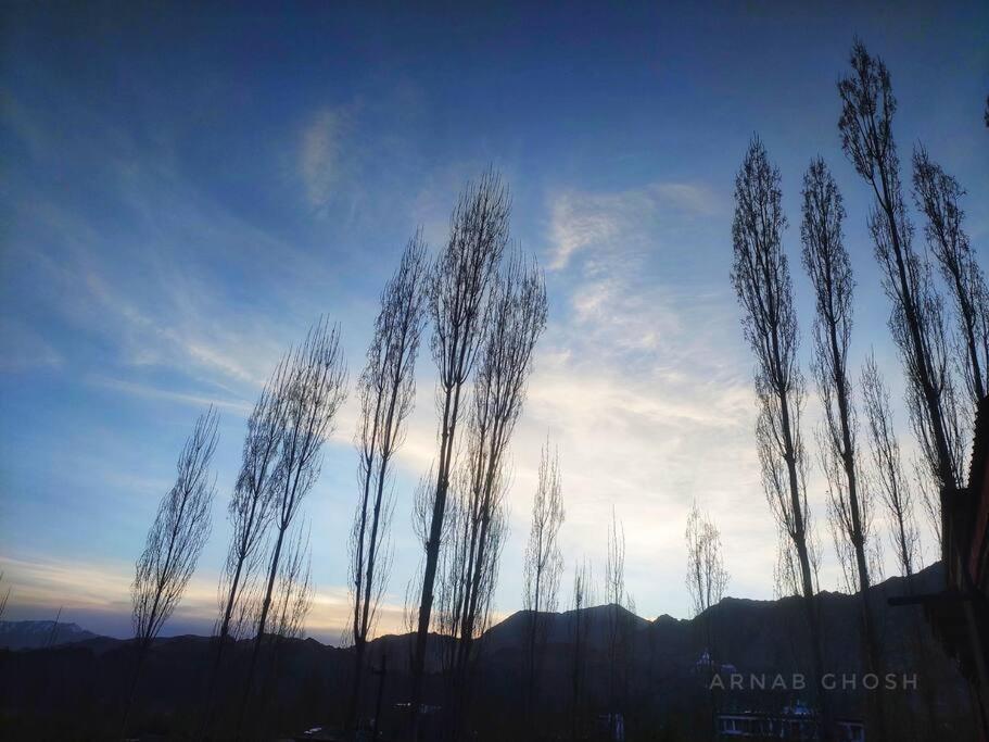 Snow Lion Ladakh Otel Leh Dış mekan fotoğraf